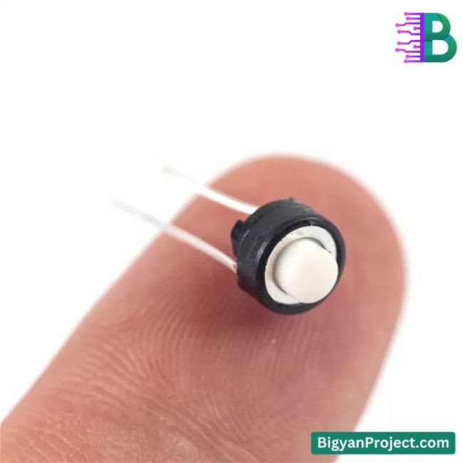 Button 2 Pin 2-Pin Momentary Push Button Tactile Switch for Projects