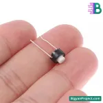 ২-পিন মোমেন্টারি পুশ বাটন ট্যাকটাইল সুইচ প্রোজেক্টের জন্য