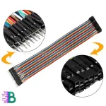 মেল-ফিমেল জাম্পার তার ২০সেমি কিনুন বাংলাদেশে (১ পিস)