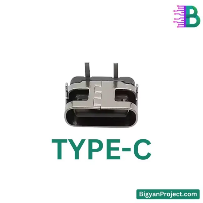 ২ পিন USB টাইপ-C চার্জিং কানেক্টর