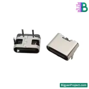 ২ পিন USB টাইপ-C চার্জিং কানেক্টর