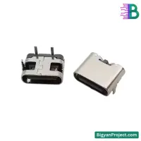 ২ পিন USB টাইপ-C চার্জিং কানেক্টর