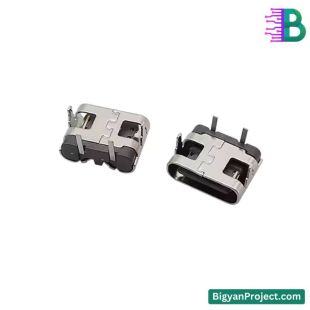 ২ পিন USB টাইপ-C চার্জিং কানেক্টর