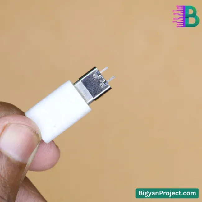 ২ পিন USB টাইপ-C চার্জিং কানেক্টর