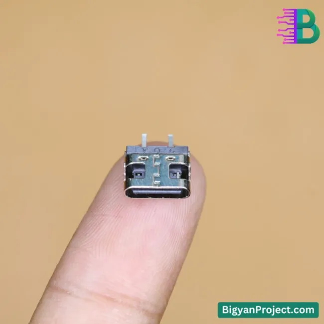 ২ পিন USB টাইপ-C চার্জিং কানেক্টর