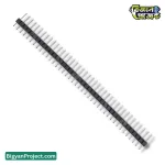 ৪০ পিন ২.৫৪মিমি মেল ব্রেকঅ্যাওয়ে হেডার স্ট্রিপ কিনুন | বিজ্ঞান প্রজেক্ট