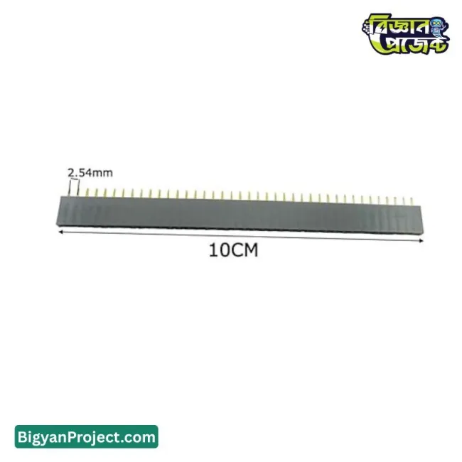 ২.৫৪ মিমি ৪০ পিন ফিমেল পিন হেডার