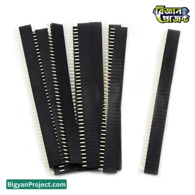 ২.৫৪ মিমি ৪০ পিন ফিমেল পিন হেডার