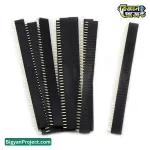 ২.৫৪ মিমি ৪০ পিন ফিমেল পিন হেডার