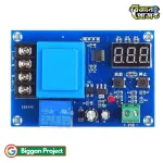 XH-M602 ব্যাটারি চার্জিং কন্ট্রোল মডিউল AC 220V