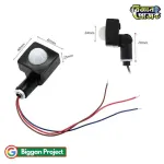 Buy PIR মোশন সেন্সর সুইচ 12mm AC85-265V
