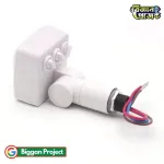 Buy PIR মোশন সেন্সর সুইচ 12mm AC85-265V
