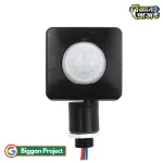 Buy PIR মোশন সেন্সর সুইচ 12mm AC85-265V