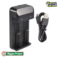 Buy ডুয়াল স্লট ব্যাটারি চার্জার 18650 USB
