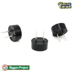 9042 প্যাসিভ বাজার ১৬Ω ৩V মিনি ৯x৪.২ মিমি