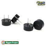 9042 প্যাসিভ বাজার ১৬Ω ৩V মিনি ৯x৪.২ মিমি