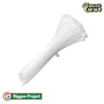 Buy ৩x১০০ মিমি নাইলন কেবল টাই সাদা ১০টি