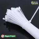 ৩x১০০ মিমি সাদা নাইলন কেবল টাই (১০টি)