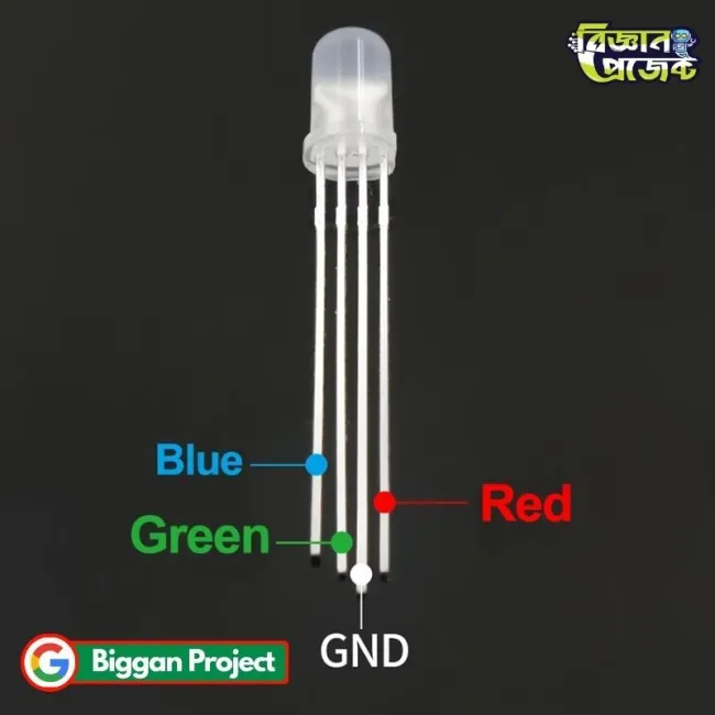 5mm 4Pin RGB LED Tricolor Buy Online