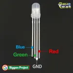 5mm 4Pin RGB LED Tricolor Buy Online