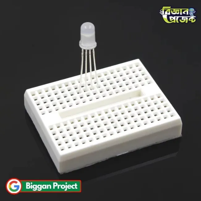 5mm 4Pin RGB LED Tricolor Buy Online