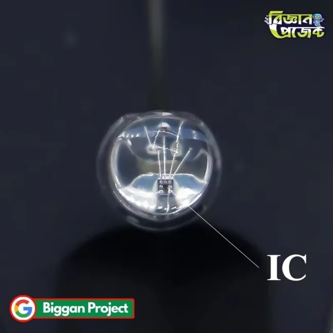 5mm 4Pin RGB LED Tricolor Buy Online