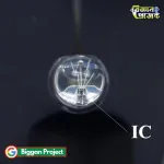 5mm 4Pin RGB LED Tricolor Buy Online