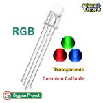 5mm 4Pin RGB LED Tricolor Buy Online