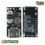 HW-298 QC3.0 USB ফাস্ট চার্জিং মডিউল কিনুন