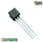 DS18B20 Temperature Sensor Buy Online