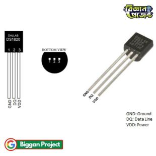 DS18B20 Temperature Sensor Buy Online