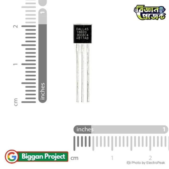 DS18B20 Temperature Sensor Buy Online