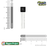 DS18B20 Temperature Sensor Buy Online