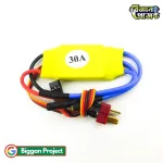 30A Brushless ESC HW30A Buy with Bullet Connector