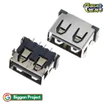 IP5306 Type-C 5V 2A Boost Module Buy Online