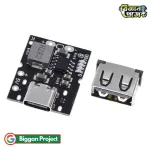 IP5306 Type-C 5V 2A Boost Module Buy Online