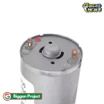 Buy 25GA370 12V 300RPM DC Gear Motor High Torque