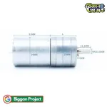 Buy 25GA370 12V 300RPM DC Gear Motor High Torque