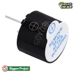 TMB12A05 5V অ্যাক্টিভ বাজার কিনুন
