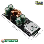 SW3518 60W Fast Charging Module Buy Online