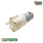 Buy DC 12V Micro Diaphragm Water & Air Pump
