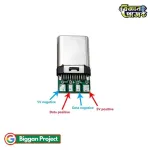 USB 3.1 Type-C ৫-পিন মেল কানেক্টর সংগ্রহ করুন