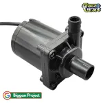 12V Water Pump Buy Online | Bigyan Project