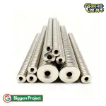 Buy N35 Round Neodymium Magnet with Hole