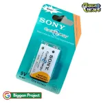 Buy Sony 9V 450mAh Rechargeable Battery Online