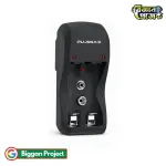 পুজিম্যাক্স ২-স্লট AA AAA ও 9V ব্যাটারি চার্জার